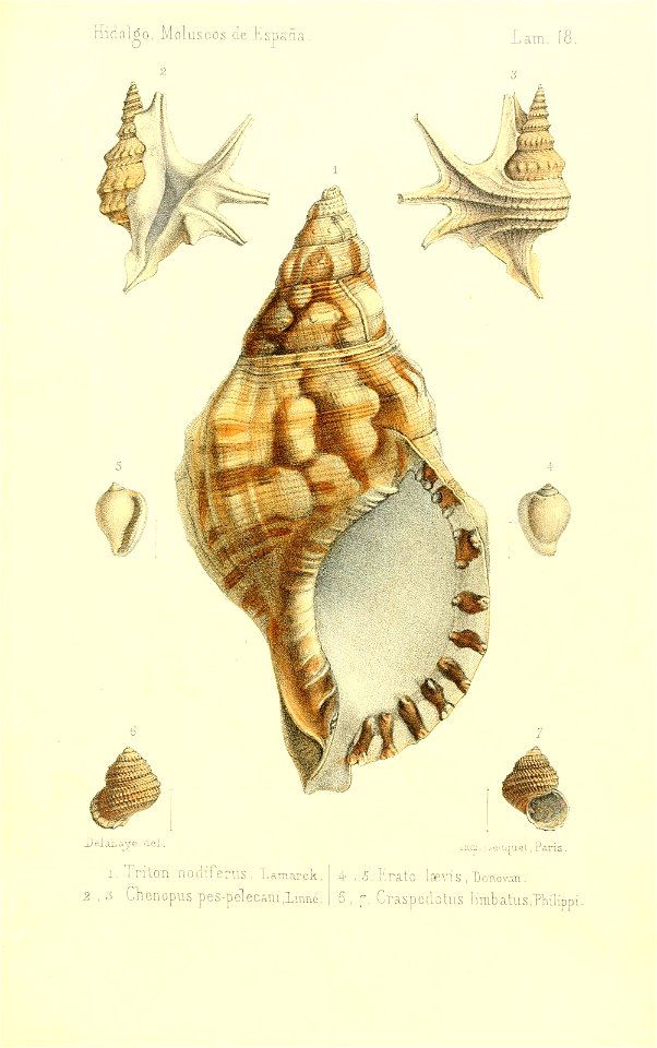n402_w1150
