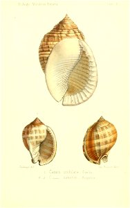 n372_w1150