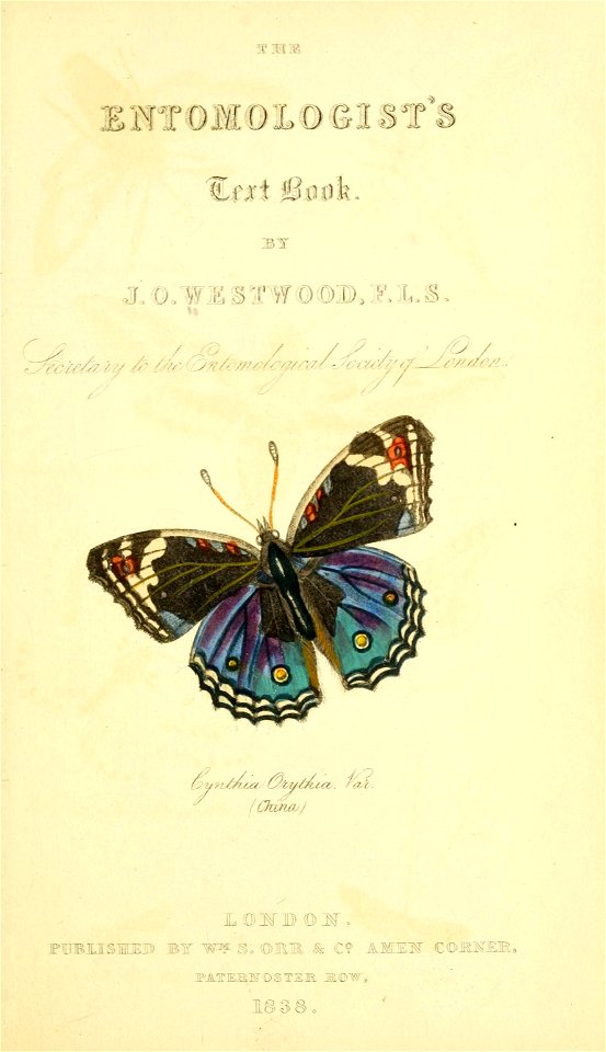 n12_w1150
