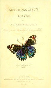 n12_w1150