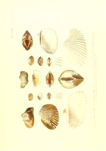 n228_w1150