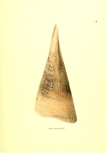n168_w1150