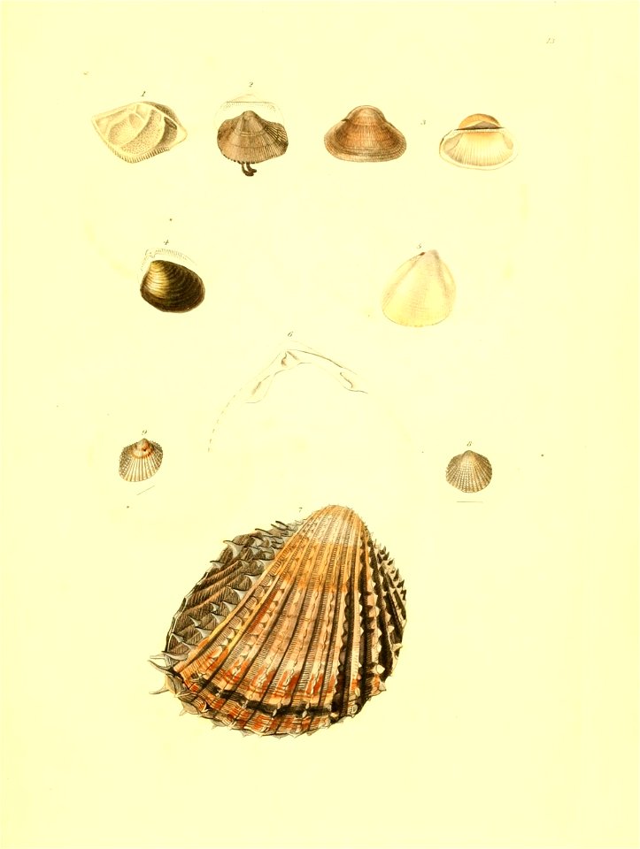 n360_w1150