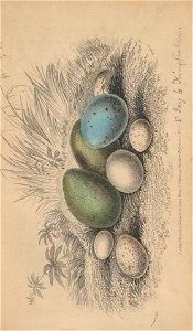 n504_w1150
