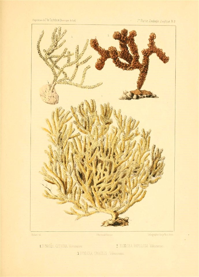 n156_w1150