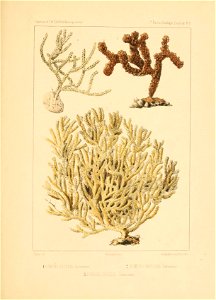 n156_w1150