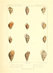 n118_w1150