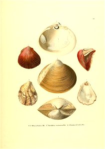 n166_w1150