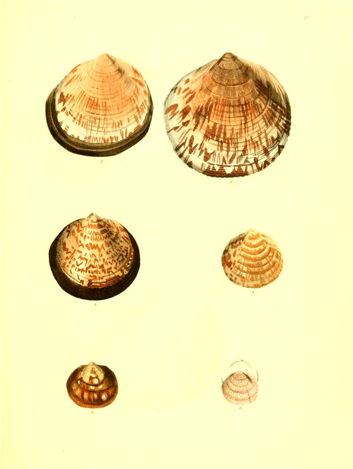 n358_w1150