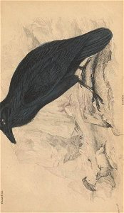n262_w1150