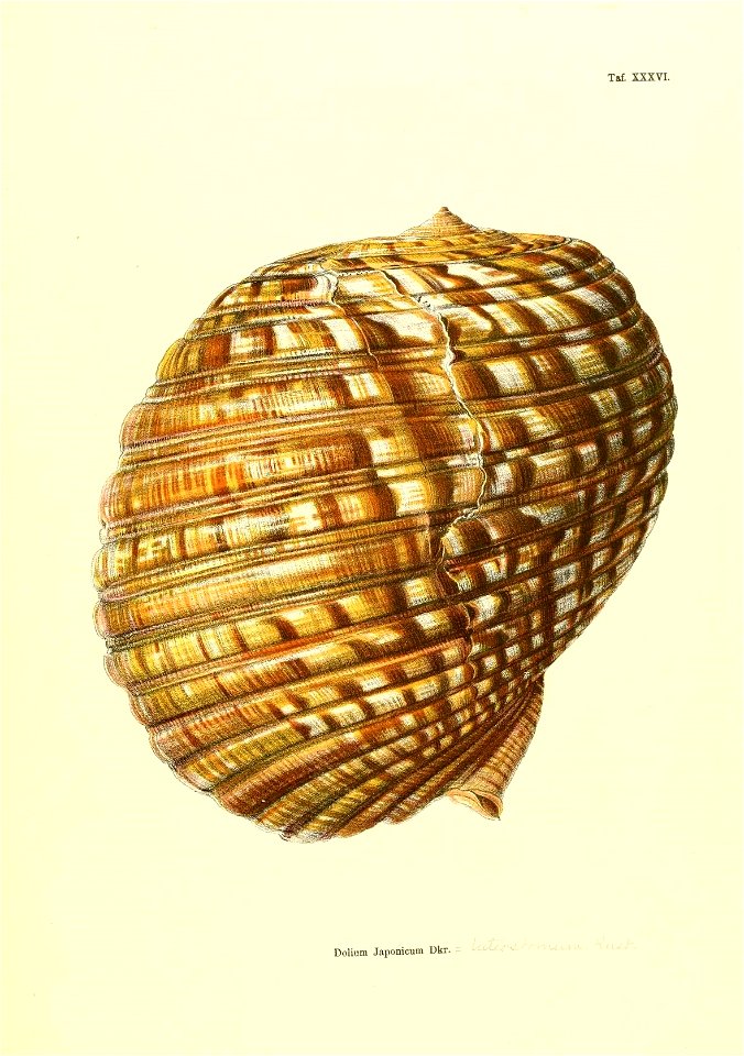 n224_w1150
