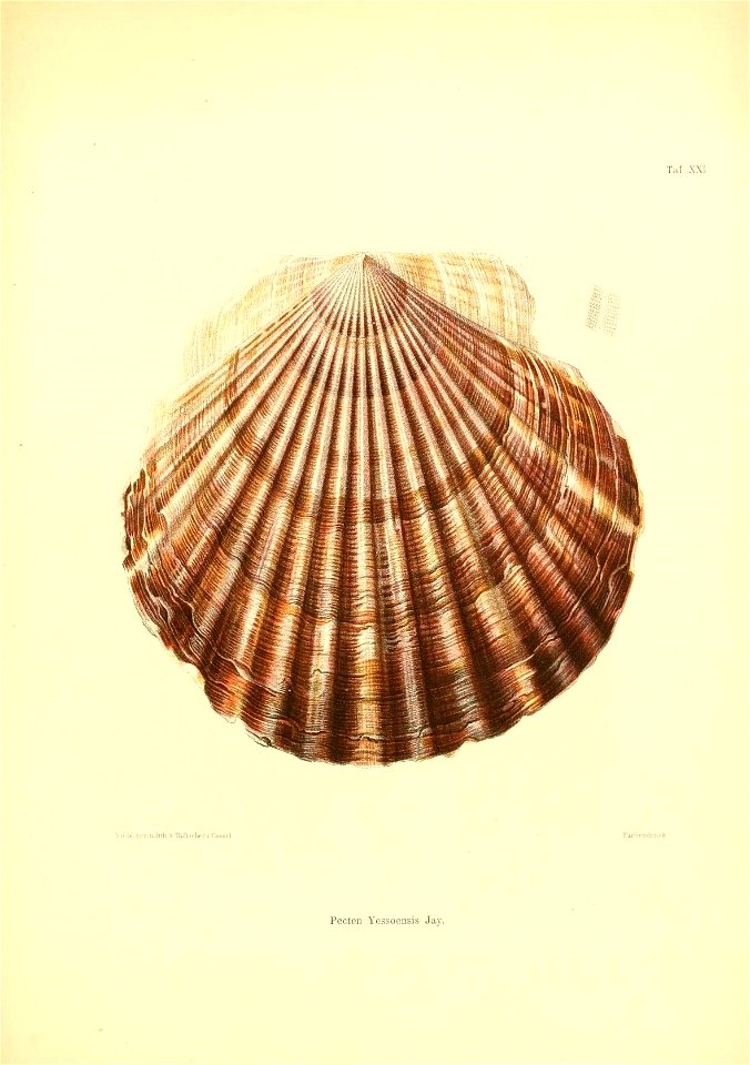n194_w1150