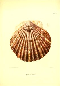 n194_w1150