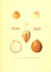 n164_w1150