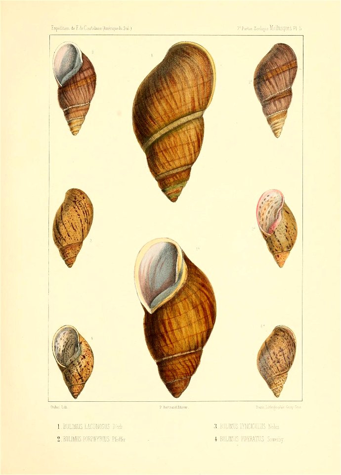 n114_w1150