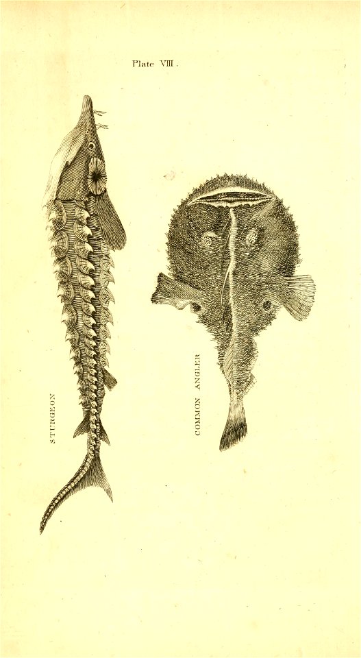 n161_w1150