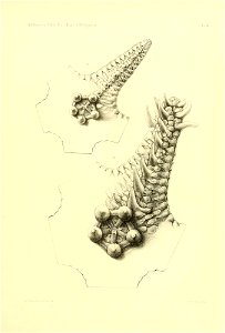 n124_w1150