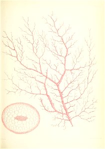 n482_w1150