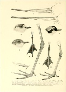 n339_w1150