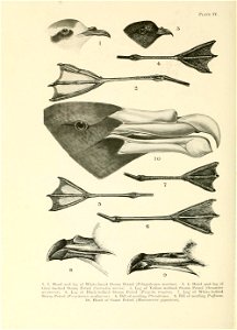 n323_w1150