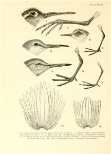 n337_w1150
