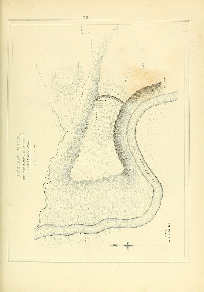 n534_w1150