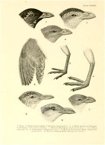 n351_w1150