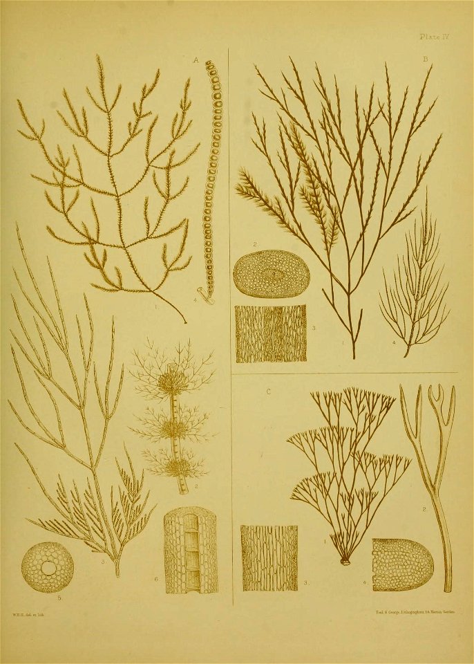 n366_w1150