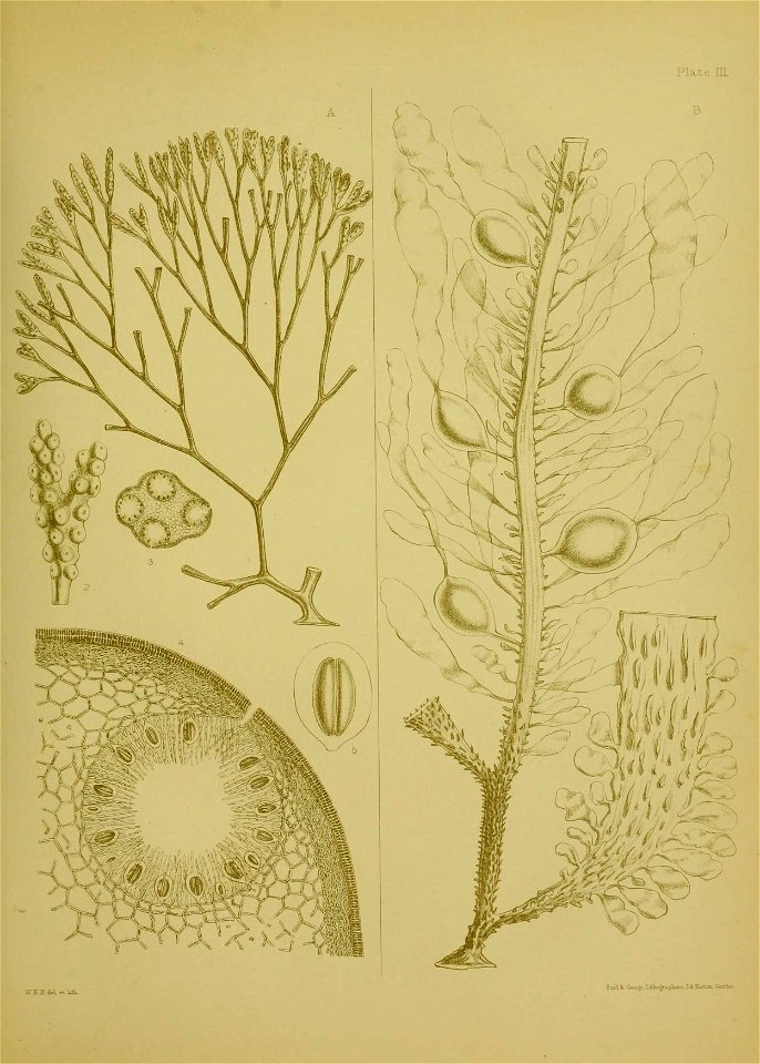 n364_w1150