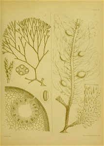n364_w1150