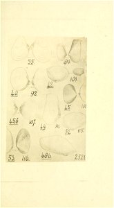 n62_w1150