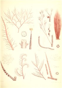 n464_w1150