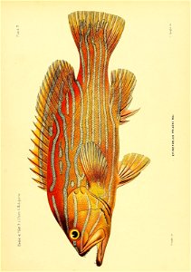 n228_w1150