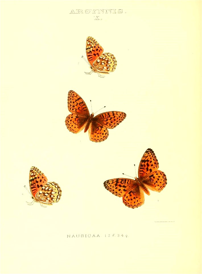 n129_w1150