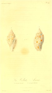 n233_w1150