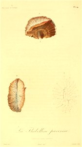 n79_w1150