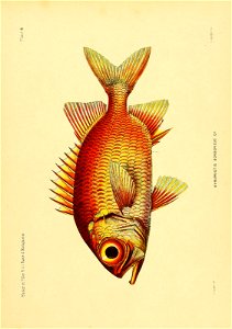 n226_w1150