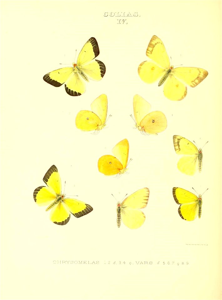n123_w1150