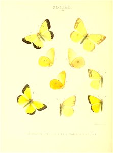 n123_w1150