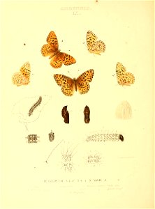 n103_w1150