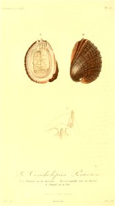 n141_w1150