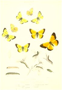 n161_w1150
