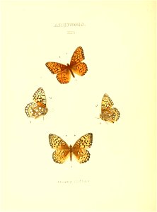 n99_w1150