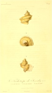 n217_w1150