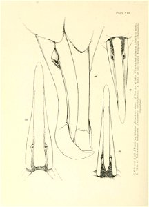 n327_w1150