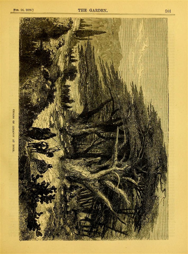 n222_w1150