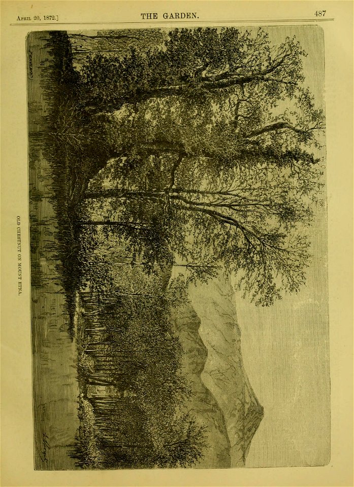 n510_w1150