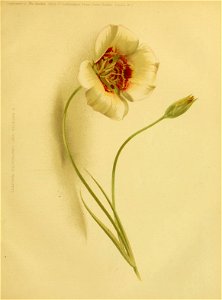 n154_w1150