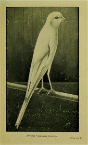 n120_w1150