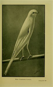 n196_w1150